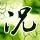办理高仿缅因学院毕业证【degxx.com】